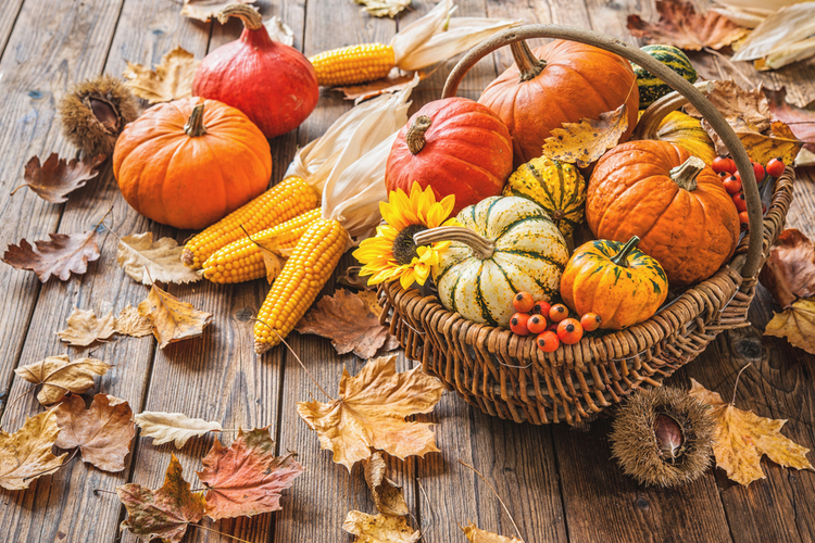 Herbstküche: Diese Kürbissorten versüßen die kalte Jahreszeit